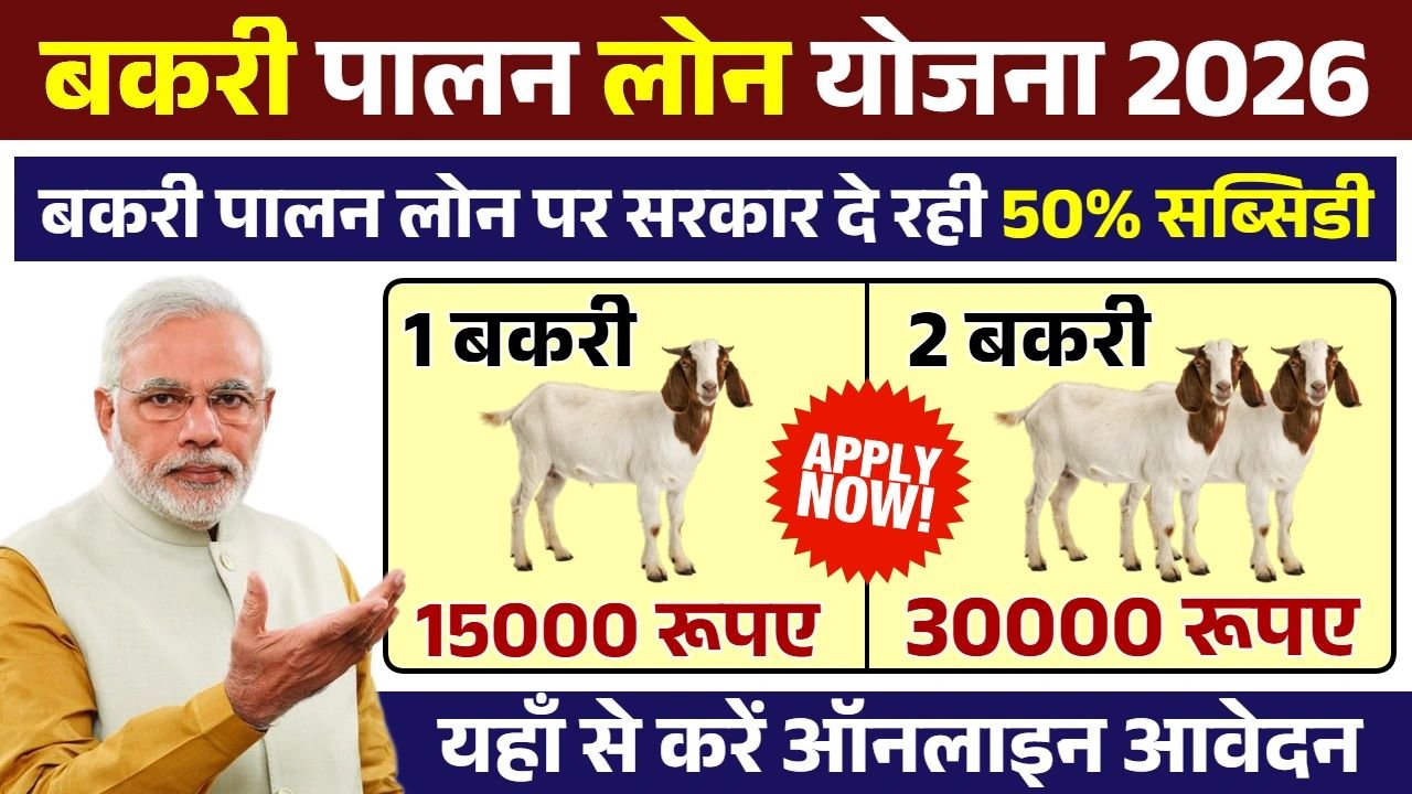 Bakri Palan Loan Yojana 2026